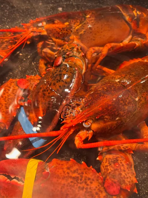 Seafood from Gino’s